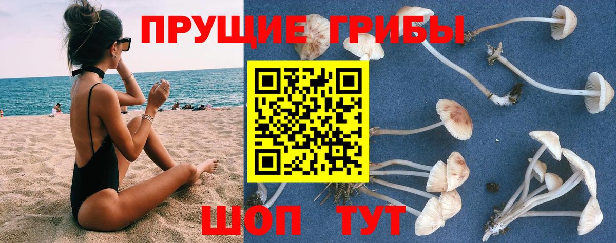 Галлюциногенные грибы мицелий  Галлюциногенные грибы ЛСД  Тобольск  Вход с VPN 